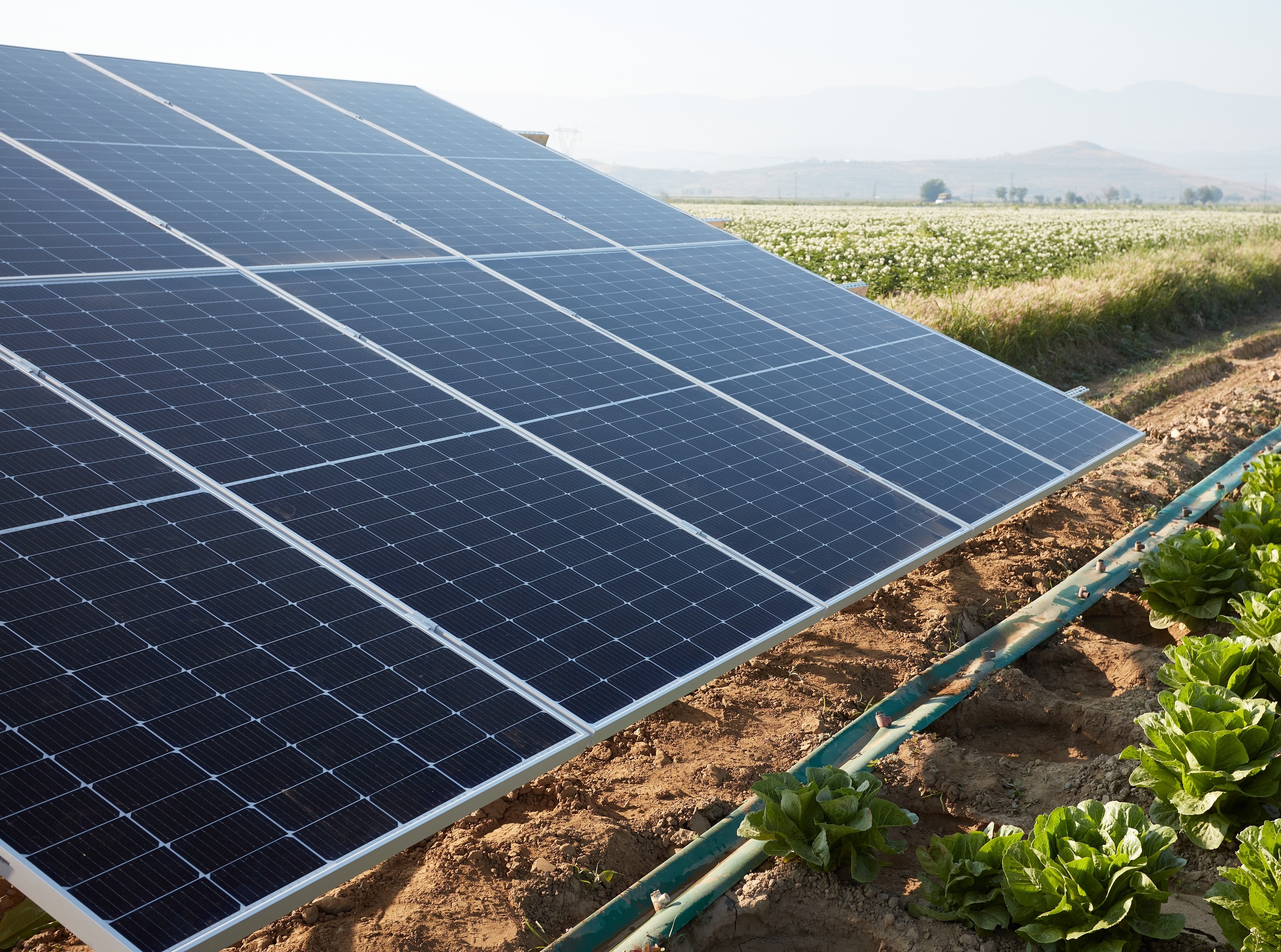 Solar Panel in field 