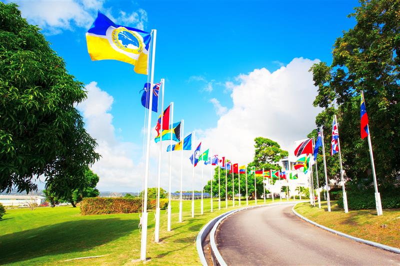 Caribbean flags hoisted along a road leading up to the CDB headquarters