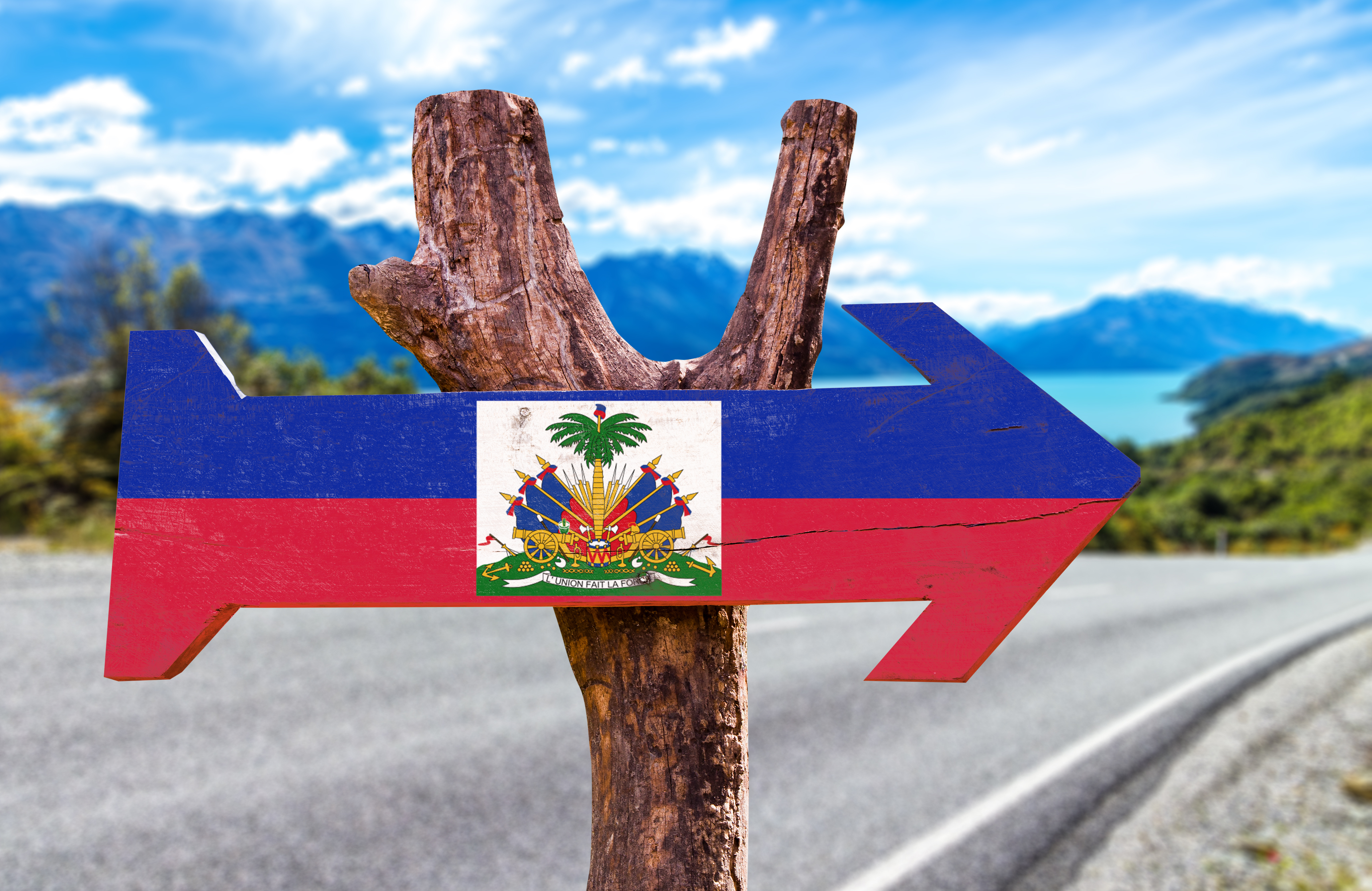 Arrow with the Haitian flag imprinted 