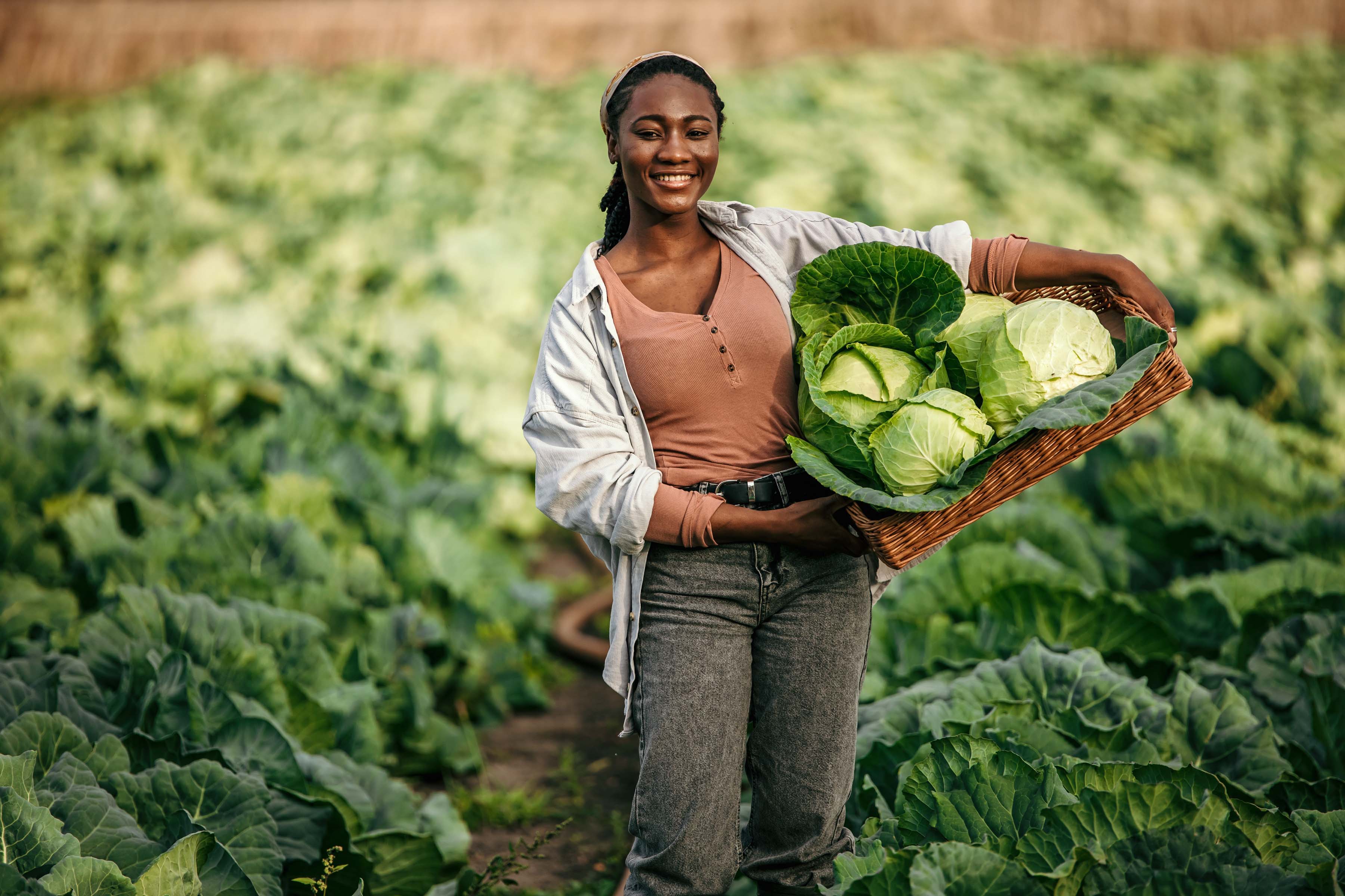 woman kin field with basket filled with cabbages at her hips and she looks into the camera with a smile