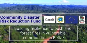 opening screen of video featuring aerial image of Belize forest with video title overlayed