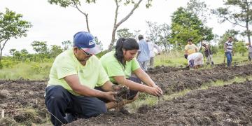 Building partnerships for a more climate resilient Caribbean
